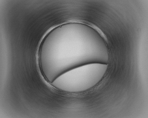 X0000113050955200908271052
