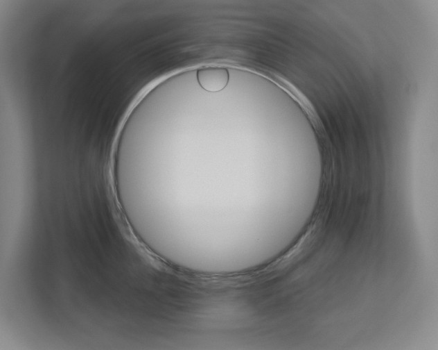 X0000113050956200908271052
