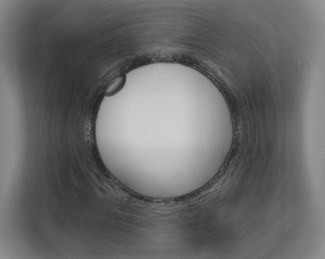 X0000113050964200908271051