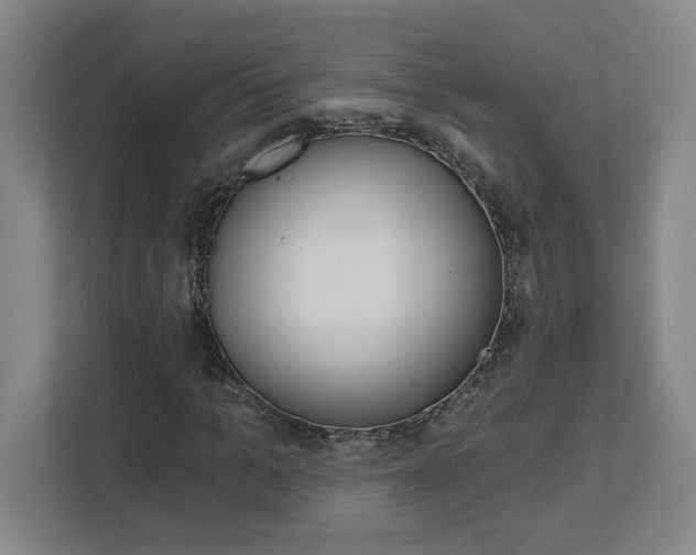 X0000113050965200908271051