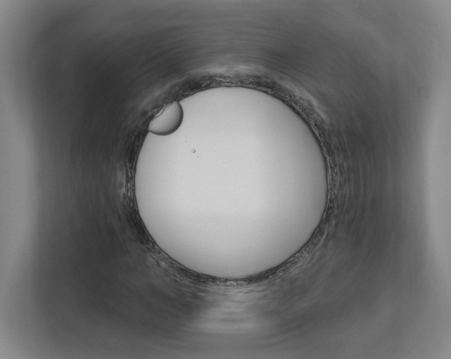 X0000113050966200908271051