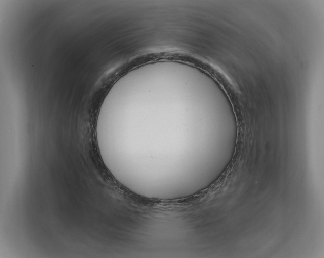 X0000113050967200908271051