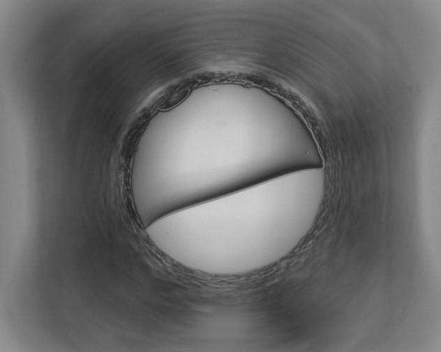 X0000113050968200908271051