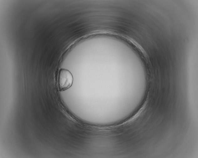 X0000113050969200908271051