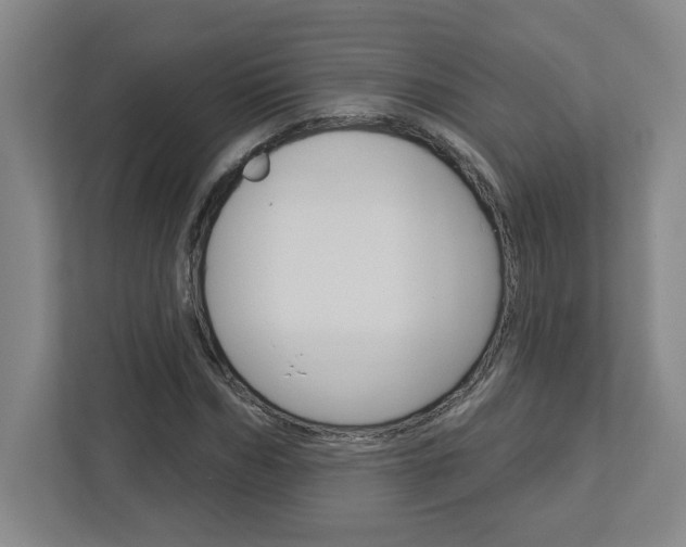 X0000113050970200908271051