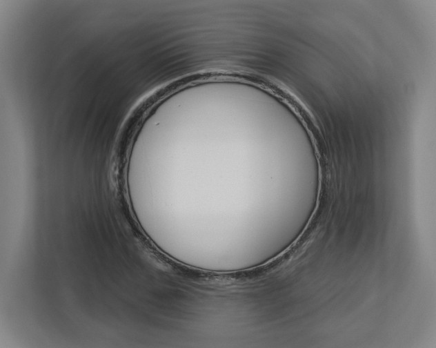 X0000113050971200908271051