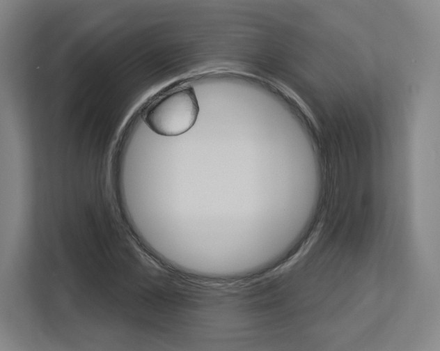 X0000113050973200908271051