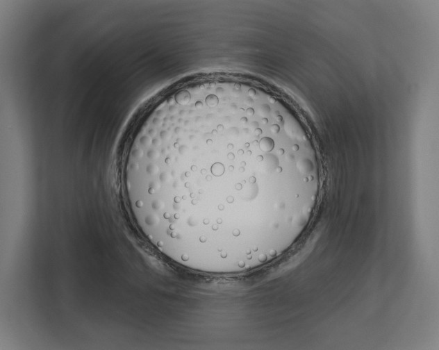 X0000113050974200908271051