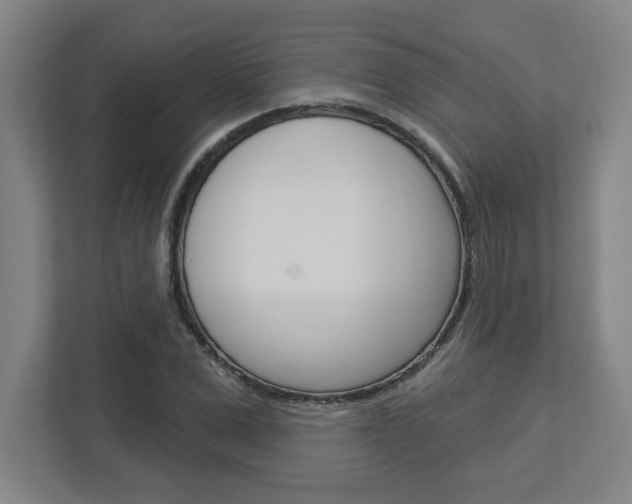 X0000113050975200908271051