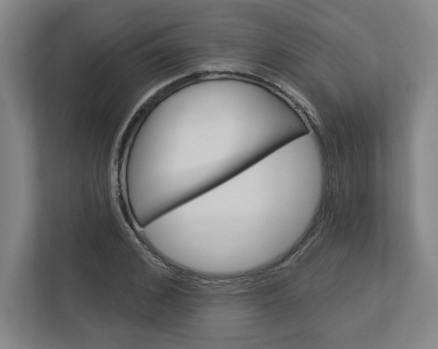 X0000113050976200908271051