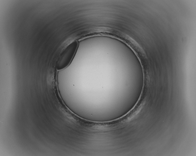 X0000113050977200908271051