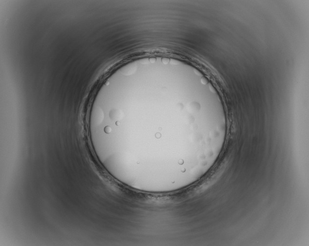 X0000113050978200908271051