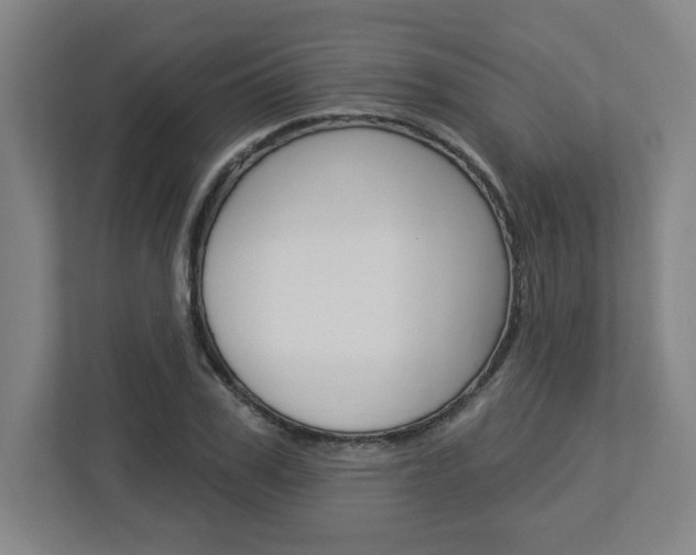 X0000113050979200908271051