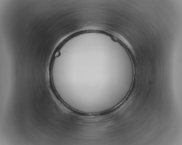 X0000113050980200908271051