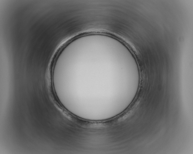 X0000113050982200908271051