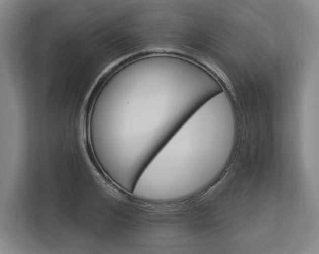 X0000113050984200908271051
