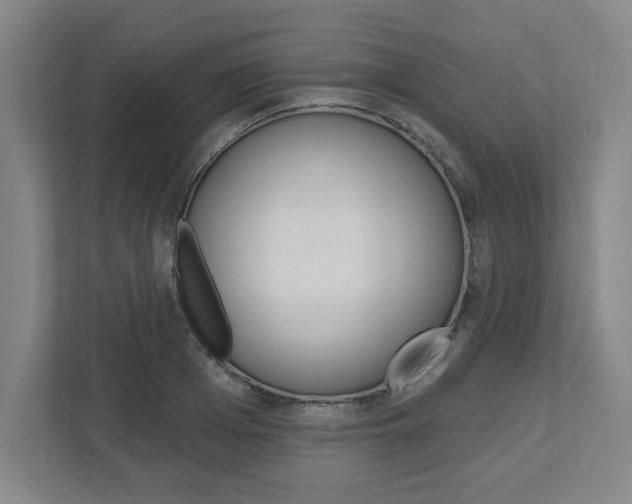 X0000113050985200908271051