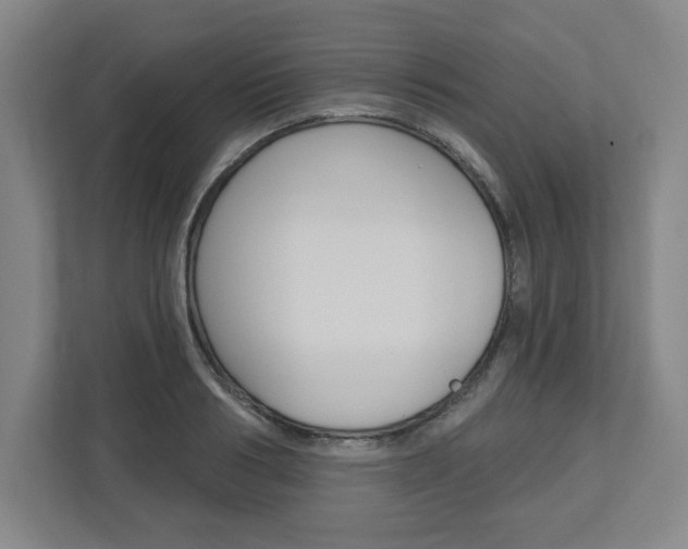X0000113050986200908271051