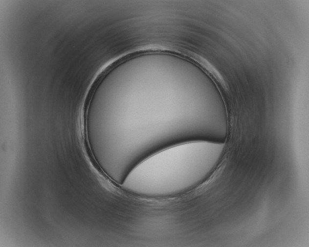 X0000113050988200908271051
