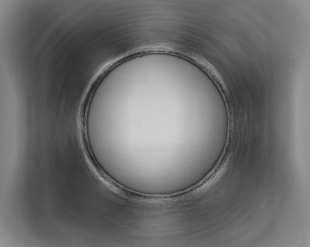 X0000113050989200908271051