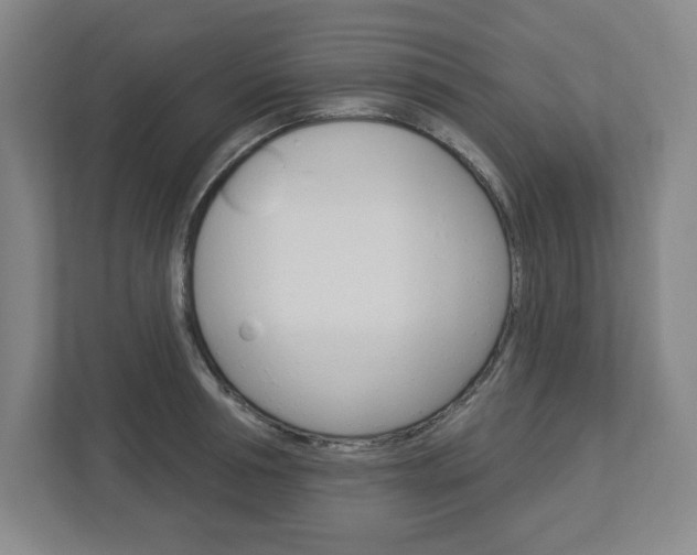 X0000113050994200908271051