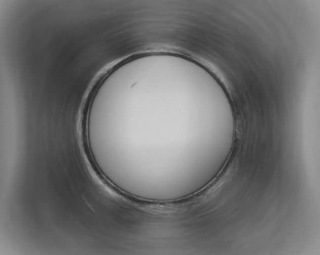X0000113050995200908271051