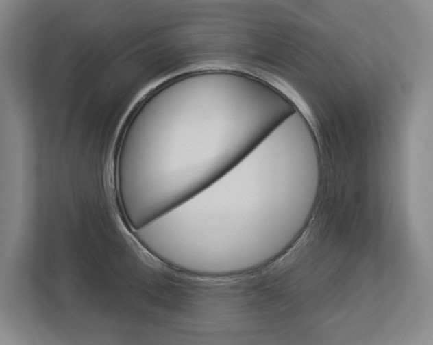 X0000113050996200908271051