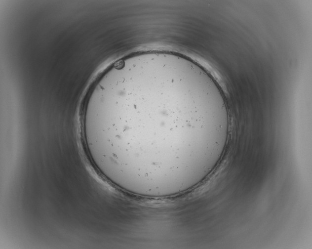 X0000113050998200908271051