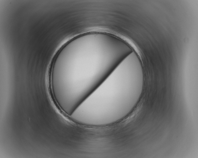 X0000113050999200908271051