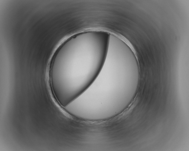 X0000113051005200908271051
