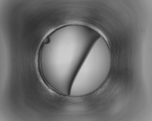 X0000113051007200908271051