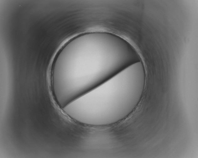 X0000113051008200908271051