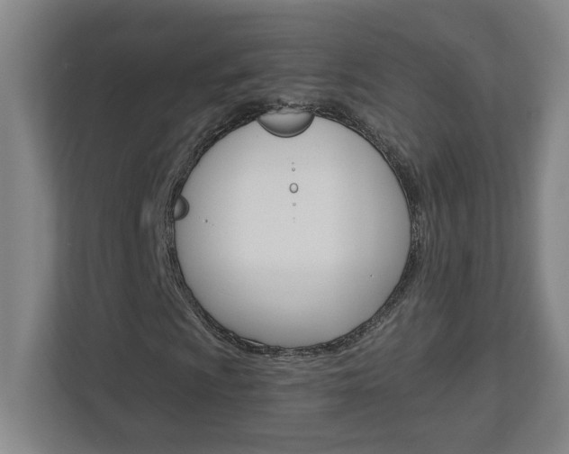 X0000113051009200908271050