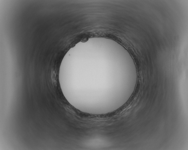 X0000113051010200908271050