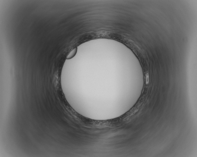 X0000113051011200908271050