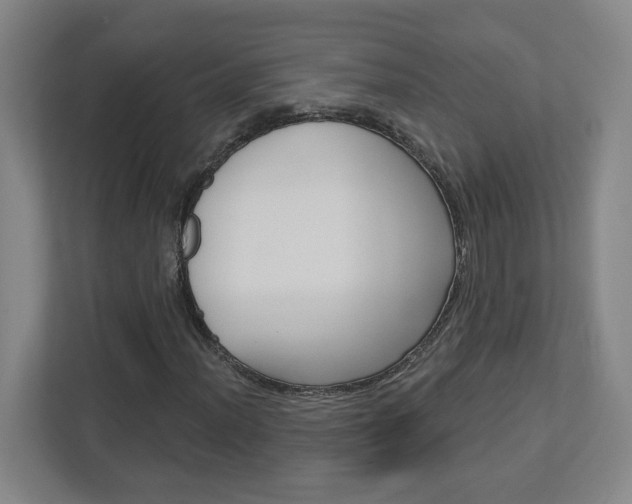 X0000113051012200908271050