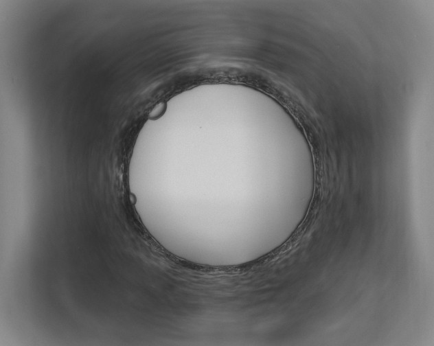 X0000113051013200908271050