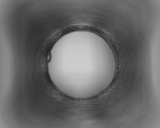 X0000113051014200908271050
