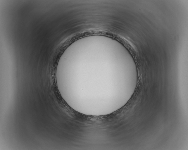 X0000113051015200908271050