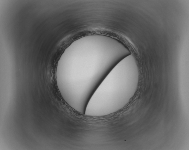 X0000113051016200908271050