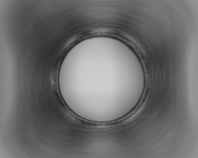 X0000113051017200908271050