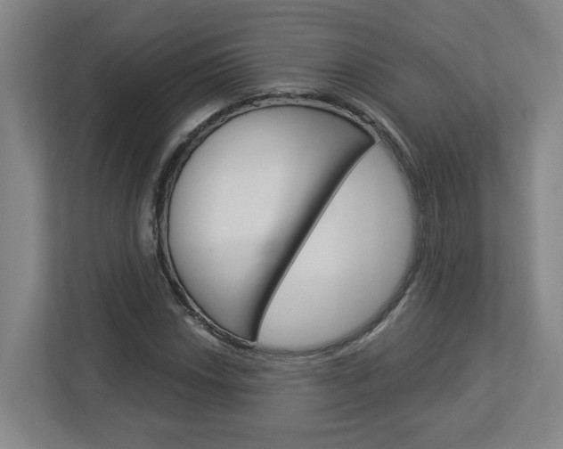 X0000113051018200908271050