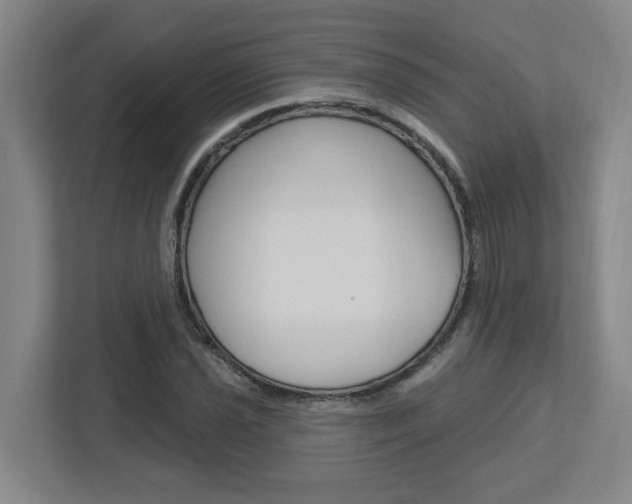X0000113051021200908271050