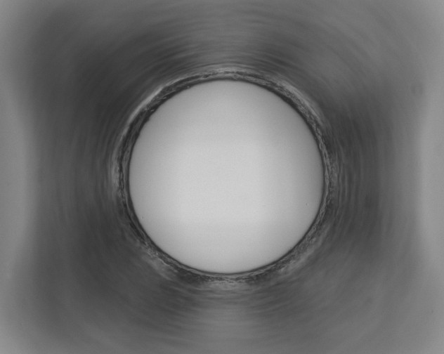 X0000113051023200908271050