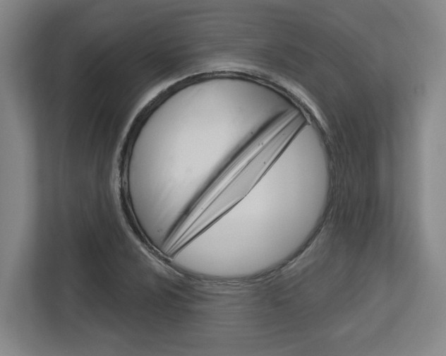 X0000113051024200908271050