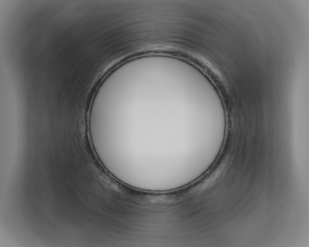 X0000113051025200908271050