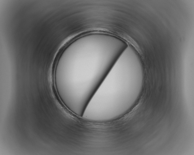 X0000113051028200908271050