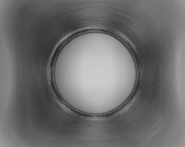 X0000113051029200908271050