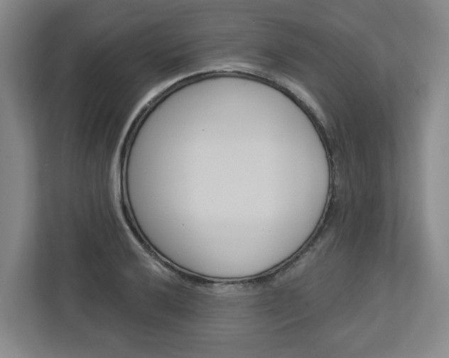 X0000113051032200908271050