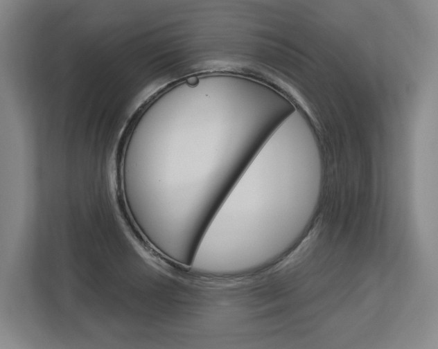 X0000113051034200908271050
